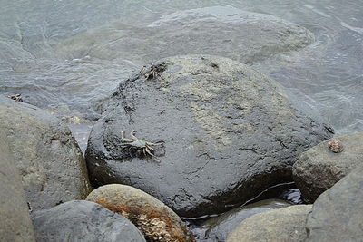 Close-up of sand on beach