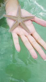 High angle view of human hand in water