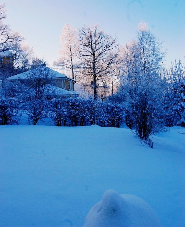 snow, winter, cold temperature, bare tree, season, tree, weather, covering, frozen, tranquil scene, tranquility, white color, nature, landscape, branch, field, beauty in nature, covered, clear sky, scenics