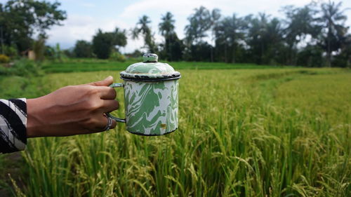 Cropped hand holding cup against grassy land