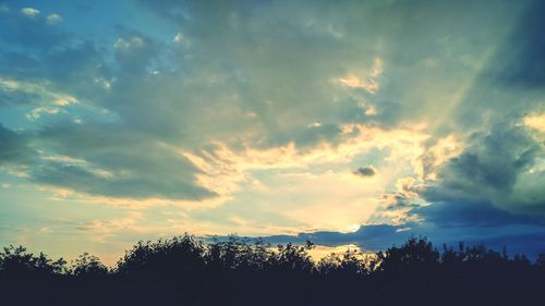 Low angle view of silhouette trees against sky