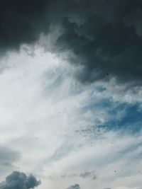 Low angle view of birds flying against sky