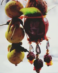 Close-up of fruits hanging on pink leaves