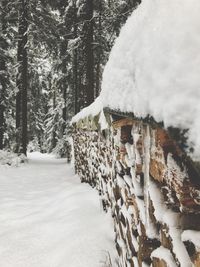 Snow covered trees against sky