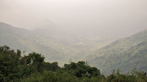 mountain