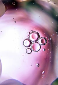 High angle view of wet bubbles