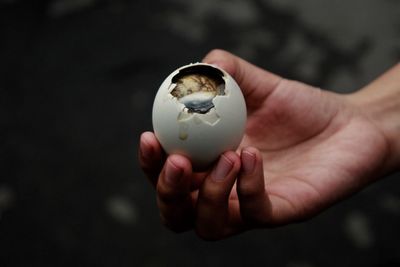 Cropped hand holding broken egg