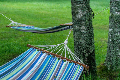 Clothes hanging on tree trunk in field