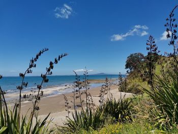 Scenic view of sea against blue sky