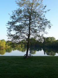Tree on field by lake against sky