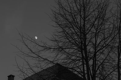Low angle view of bare trees against sky