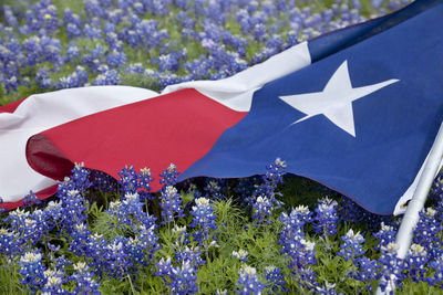 Low angle view of flags