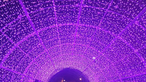 Close-up of illuminated purple lights