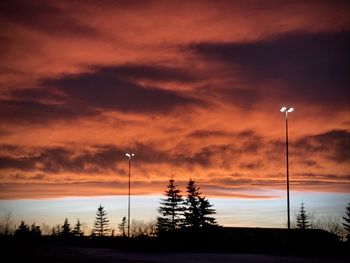 Silhouette trees and street light against sky at sunset