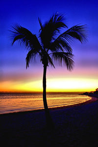 Silhouette palm tree on beach against sky at sunset