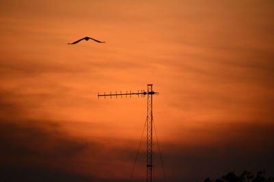 Low angle view of silhouette bird flying against sky during sunset