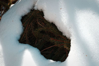 High angle view of snow covered field