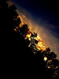 Low angle view of silhouette trees against sky during sunset