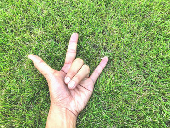 Cropped image of person hand on grass