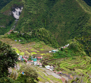 High angle view of trees on landscape