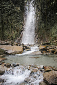 Scenic view of waterfall in forest