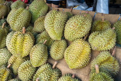Durian,the fruit in thailand. tropical fruit delicious, sweet and good smell sale at market.