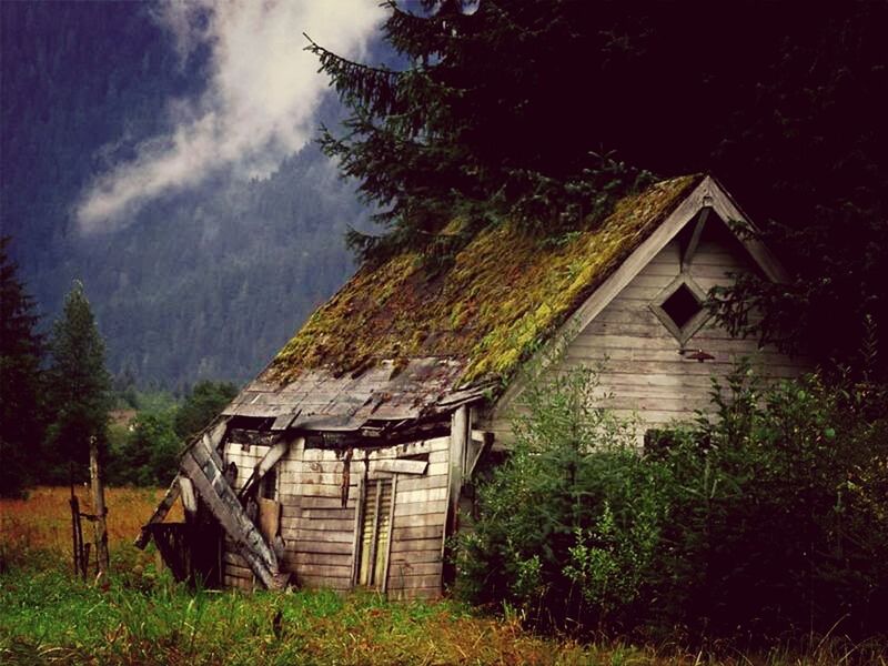 built structure, architecture, building exterior, house, abandoned, sky, tree, old, damaged, grass, obsolete, run-down, deterioration, field, hut, cloud - sky, barn, landscape, weathered, wood - material