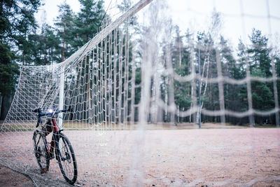 Bicycle by trees in park