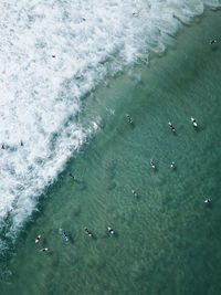 High angle view of people surfing in sea