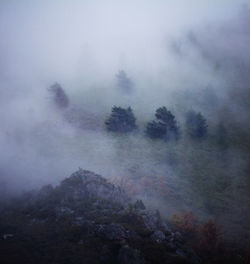 High angle view of trees against sky