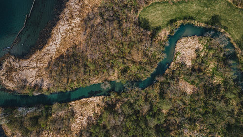 High angle view of trees on landscape