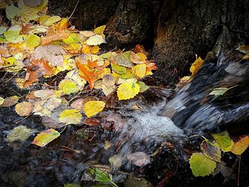 Close-up of water