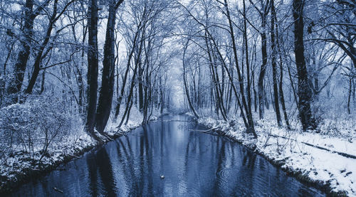 Creek in winter forest covered with snow 