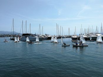 Sailboats moored in harbor