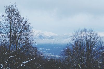 Scenic view of snow covered mountains