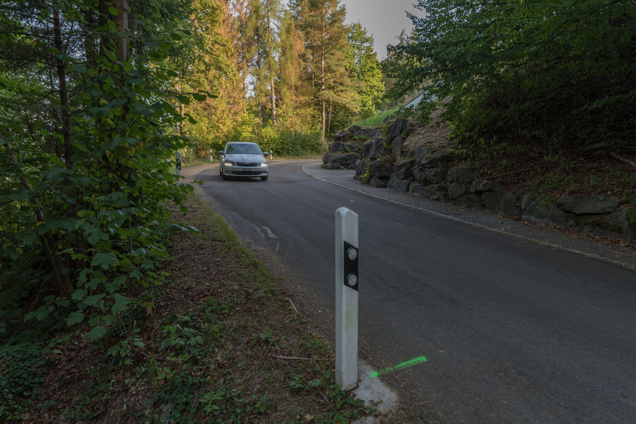 CAR ON ROAD AMIDST TREES