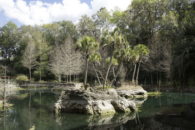 Trees by lake against sky