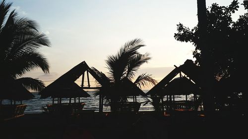 Silhouette of palm trees at seaside