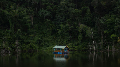 Scenic view of lake in forest