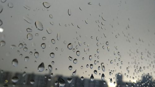 Close-up of raindrops on window