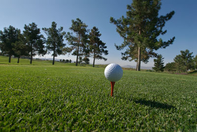 Golf ball on field against trees