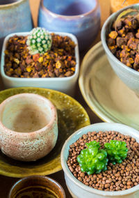 Cactus and succulent plant in the ceramic pots adapted from ceramic bowls