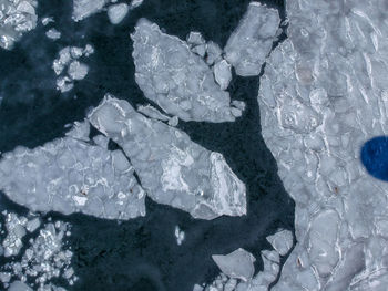 High angle view of frozen leaf floating on water