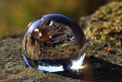 Close-up of crystal ball on rock