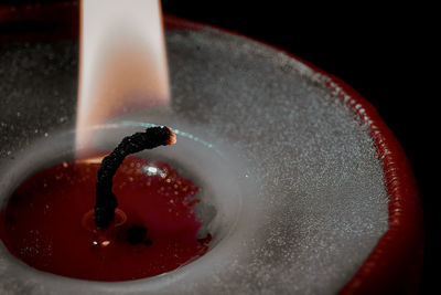 Close-up of red berries on black background