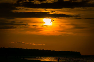 Silhouette of bird flying over sea during sunset