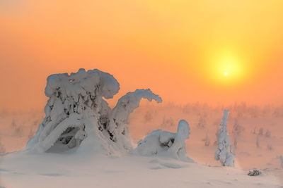 Scenic view of snow covered landscape against orange sky