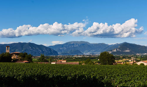 Scenic view of agricultural field against sky