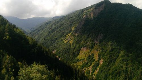 Scenic view of green mountains against sky