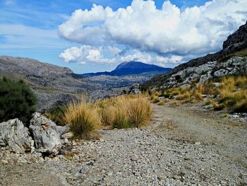 Panoramic view of landscape against sky